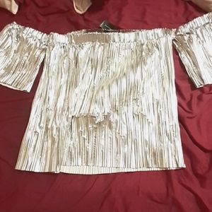 Off the shoulder silver shirt